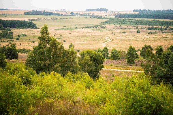 Doddington North 3